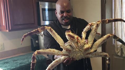 Live Alaskan King Crab In Maine YouTube