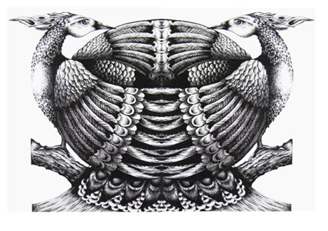 Bird Ink drawing on Behance