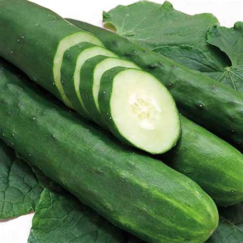 33 Of The Best Cucumber Varieties To Grow At Home Gardeners Path