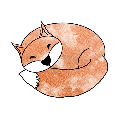 Sleeping Fox Drawing