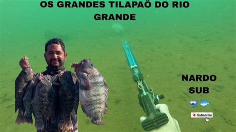 Os Grandes Tilapa Do Rio Grande Temporada Confira A Tmj Youtube