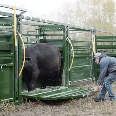 Portable Cattle Squeeze Chute Alley And Tub Arrowquip