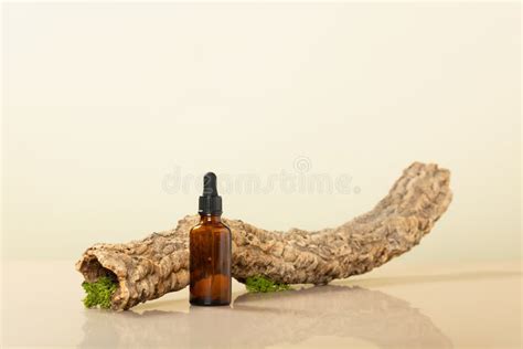 Trendy Composition Of Blank Amber Glass Essential Oil Bottle Dried