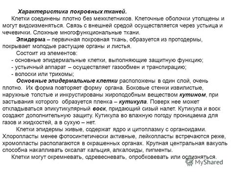 Презентация на тему: "Покровные ткани План 1.Общая характеристика ...