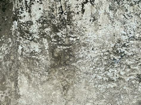 concrete wall texture 24871351 Stock Photo at Vecteezy