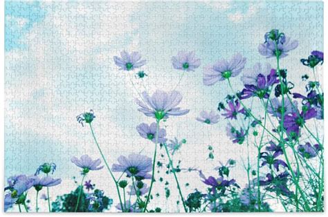 Wellsay Beautiful Cosmos Flowers Jigsaw Puzzles For Adults Piece