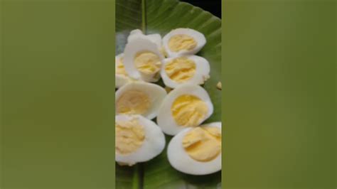 Boiled Egg Benefits 🥚🥚 Youtube