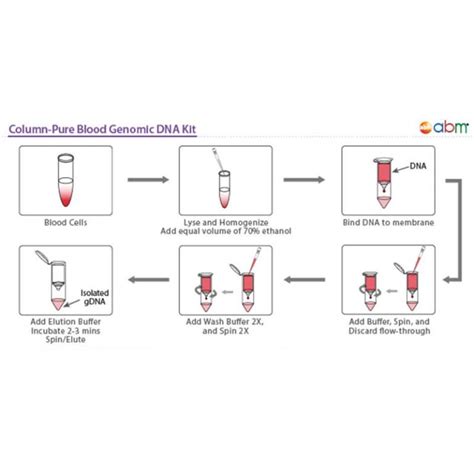 Get Column Pure Blood Genomic Dna Kit From Mbp Inc