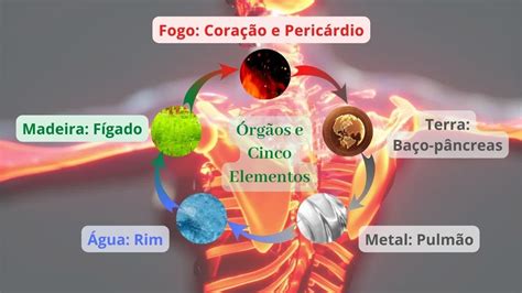 Cinco Elementos Da Medicina Tradicional Chinesa YouTube