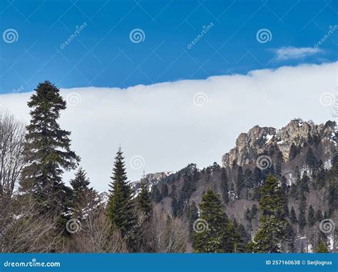 Rocky Mountains. Mountain Range Stock Photo - Image of scenic, hill: 257160638