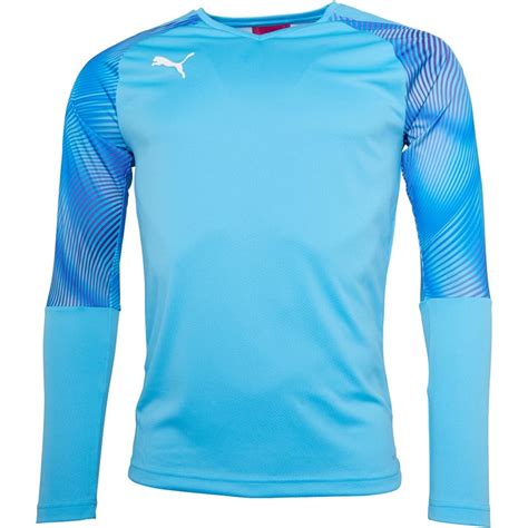 Buy Puma Mens Cup Long Sleeve Goalkeeper Jersey Aquariusfuchsia Purple