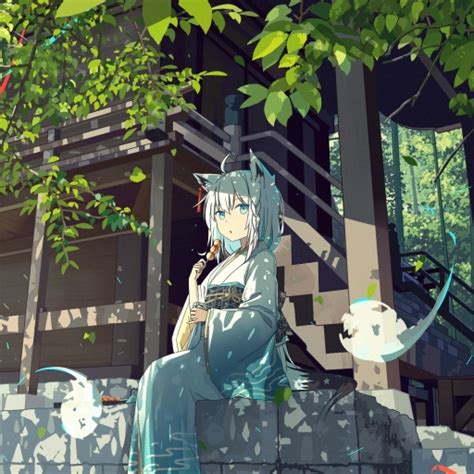 Shirakami Fubuki Pfp