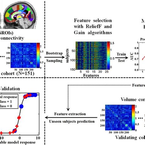 Schematic Overview Of The Multivariate Logistic Regression Analysis