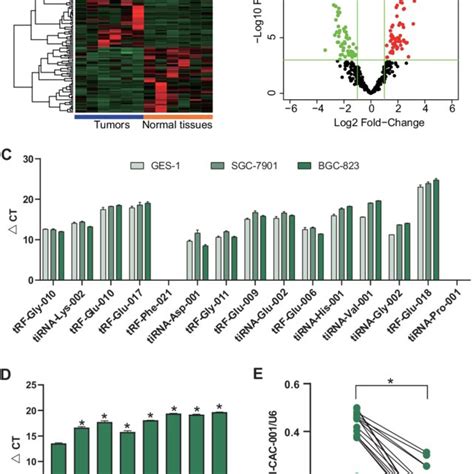 TiRNA Val CAC 001 Expression Level In Gastric Cancer GC Tissues And