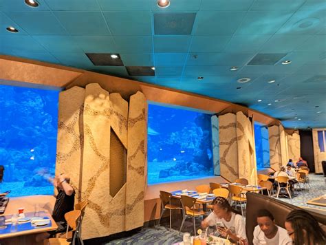 Epcots Coral Reef Restaurant Review Mollys Travels