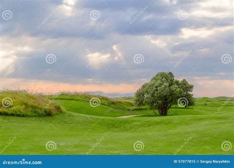 Golf Course With Tree Stock Image Image Of View Ocean 57077815