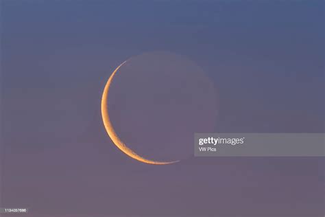 The Thin Waning 26 Day Old Moon Low In The Dawn Sky And Reddened From