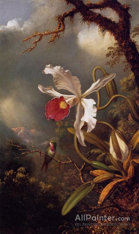 Martin Johnson Heade An Amethyst Hummingbird With A White Orchid Oil