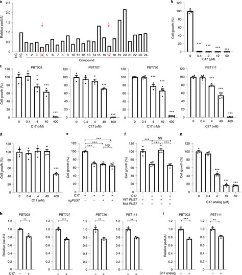 Pus Inhibitors Suppress Gsc Growth A Mass Spectrometry Based Pus