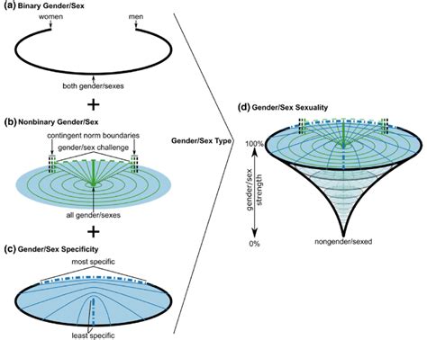 A Gender Sex Sexuality Sct Diagram Components Include A The Binary Download Scientific Diagram