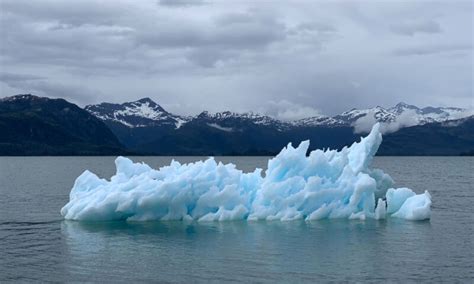 Ecco Quali Sono Gli Effetti Dei Cambiamenti Climatici Sulla Salute