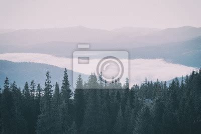 Nebelhafte Landschaft Mit Tannenwald Im Retro Stil Des Hipster