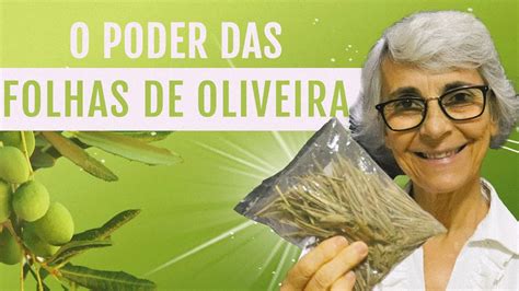 Folha de oliveira emagrece controla a pressão diminui o colesterol