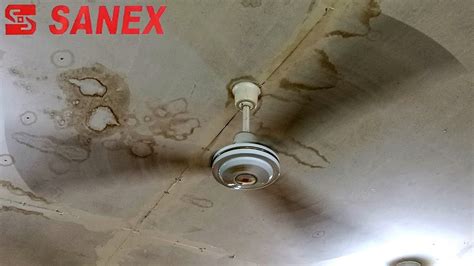 Sanex 56 Industrial Ceiling Fans Shorts YouTube