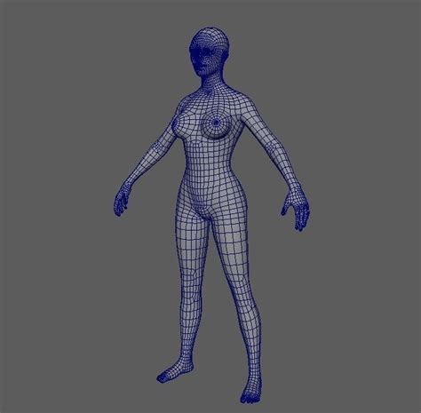 3d Model Female Basemesh Vr Ar Low Poly Cgtrader