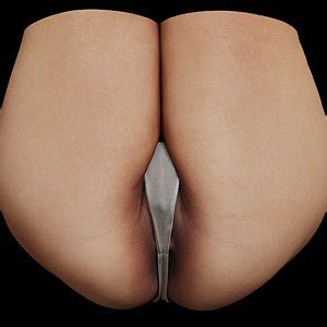 Scan Vagina 001 3D Model TurboSquid 2016555