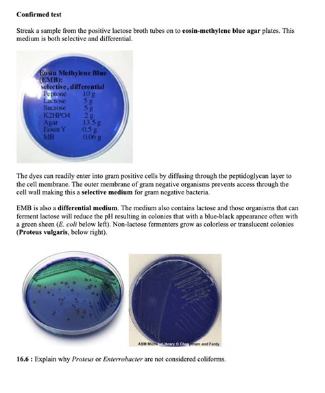 Emb Agar Eosin Methylene Blue Agar Sharebiology Off