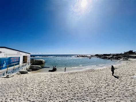 Camps Bay Tidal Pool Camps Bay Cape Town With Kids