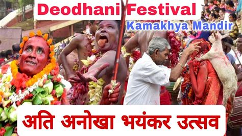 Deodhani Festival Kamakhya Mandir What Is Deodhani Festival