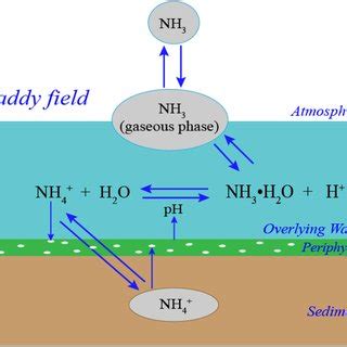 A The Nonlinear Relationship Between Nh Volatilization And Nh N