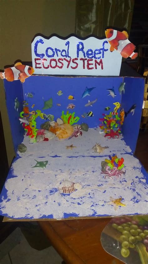 Pin By Burnice Cain On Coral Reef Diorama Coral Reef Coral Reef Ecosystem Ocean Projects