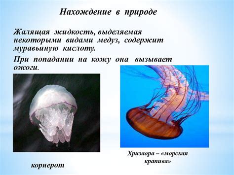 Муравьиная кислота - знакомая и незнакомая - презентация онлайн