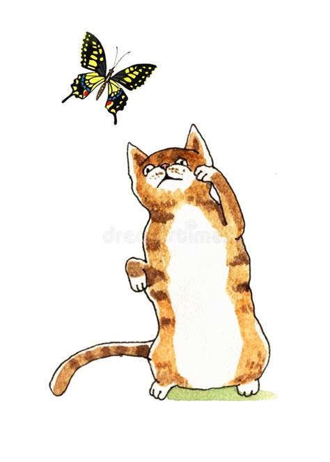 Watercolor Cat And Butterfly Stock Illustration Illustration Of