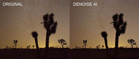 Denoise Ai Color Fringing And Excessive Sharpening Product