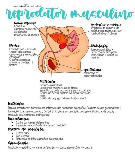 Medicine Notes Medicine Student Human Body Anatomy Human Anatomy And