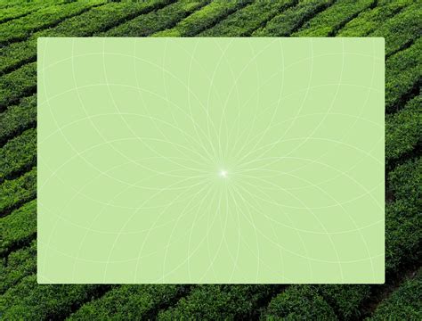 When Analyzing Characterization What Should You Pay Attention To