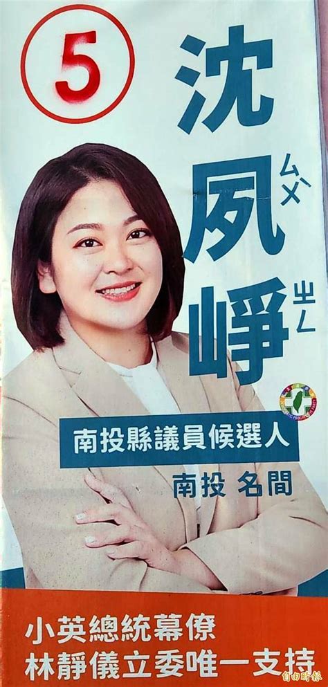 選戰倒數南投上演「搶救牌」 怕投錯票還出現議員「仿選票」文宣 政治 自由時報電子報