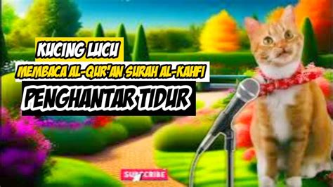 Kucing Lucu Baca Al Quran Menyentuh Hati Dengan Surah Al Kahfi YouTube