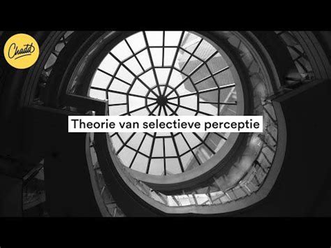 Theorie Van Selectieve Perceptie Mr Chadd Academy YouTube