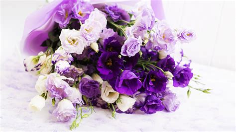 ¿por Qué Se Regalan Flores Moradas Este 9 De Noviembre