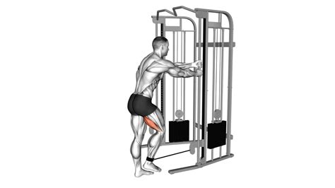 Effective Cable Hamstring Exercises For Stronger Legs And Better