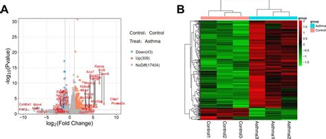 Knockdown Of KIF23 Alleviates The Progression Of Asthma By Inhibiting