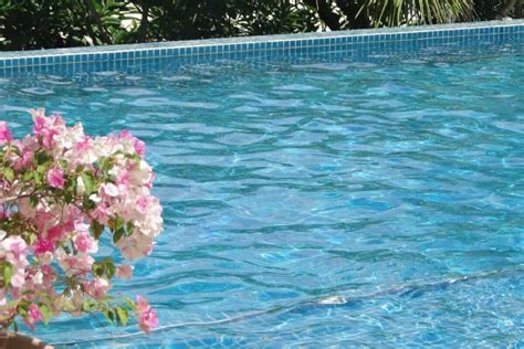 Piscine All Aperto A Roma Posti Carini Dove Trascorrere Una Giornata