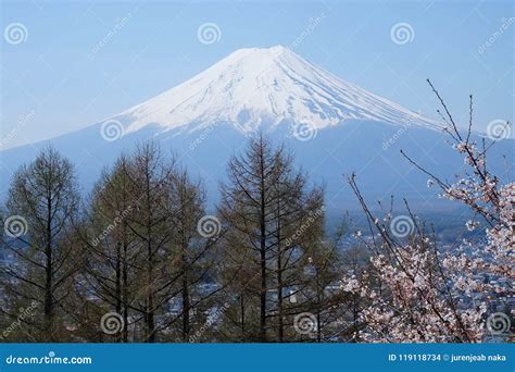 Fuji Mountain with Cherry Blossom Stock Photo - Image of fuji, cherry: 119118734