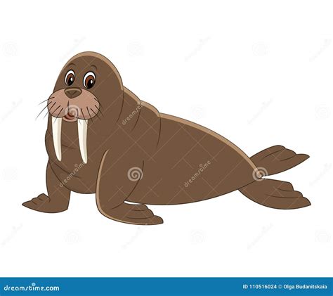 Cute Cartoon Walrus Stock Vector Illustration Of Happy 110516024