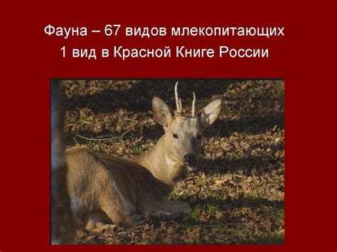 Кузнецкий Алатау: один из горных районов Кемеровской области ...
